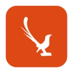 suara burung kicau android application logo